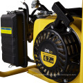 2.5kw, 2.8kw 3kw Hot Sale Europe Style Gasoline Generator, CE Generator with Remote Control Start 9 (WH3500)